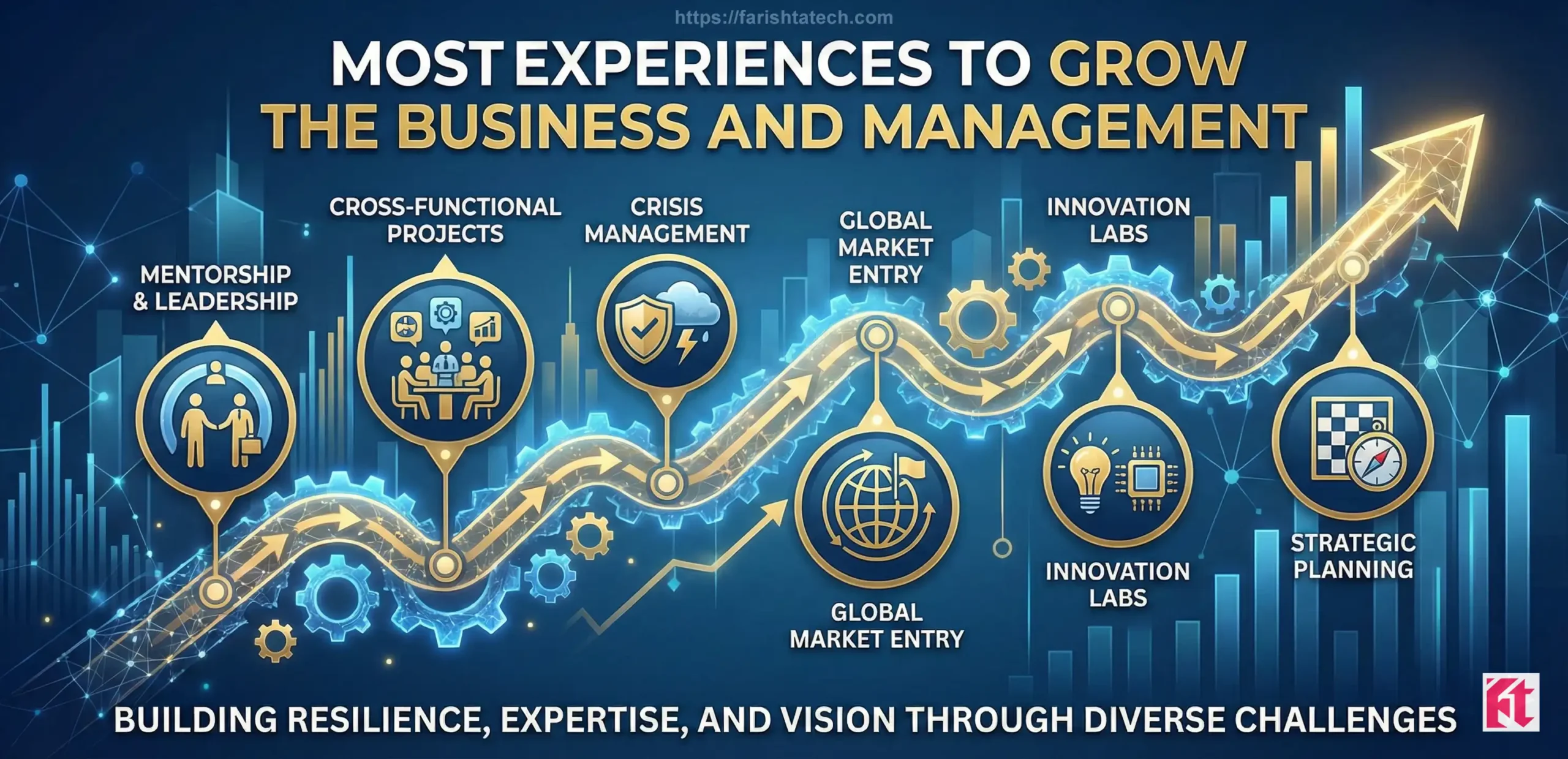 Most Experiences to Grow the Business and Management